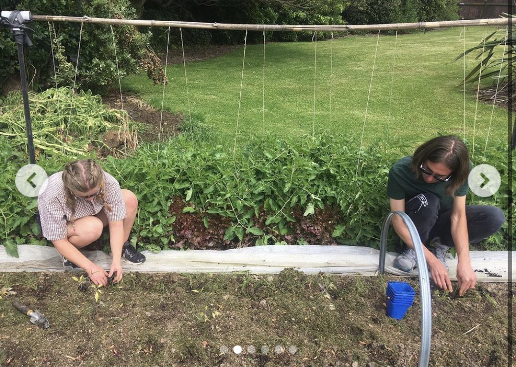 Two people gardening