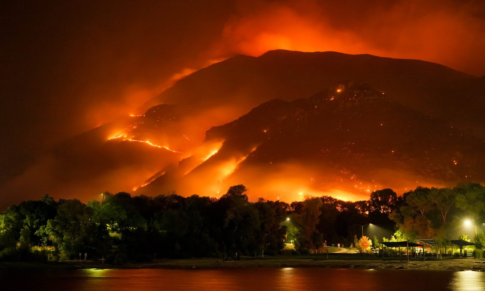 Forest burning
