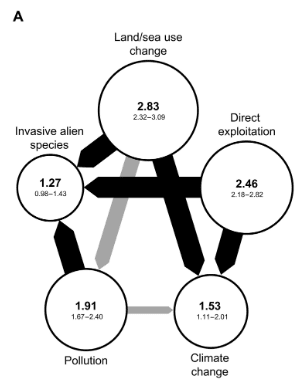 The relative size and importance of biodiversity factors