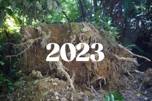 2023 forest background