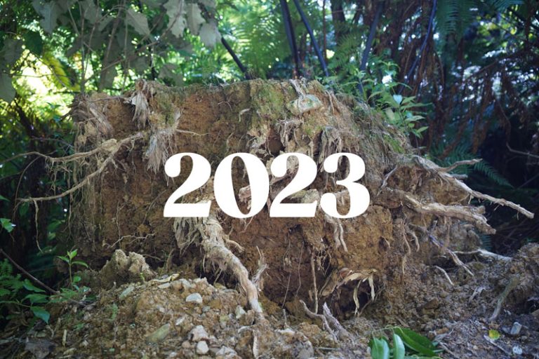 2023 forest background