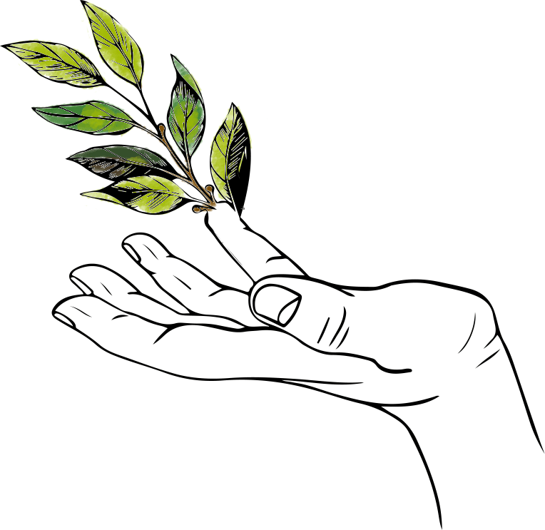 Hand with leaf drawing